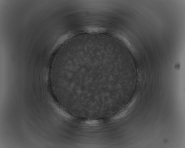 X0000094910357200711291301