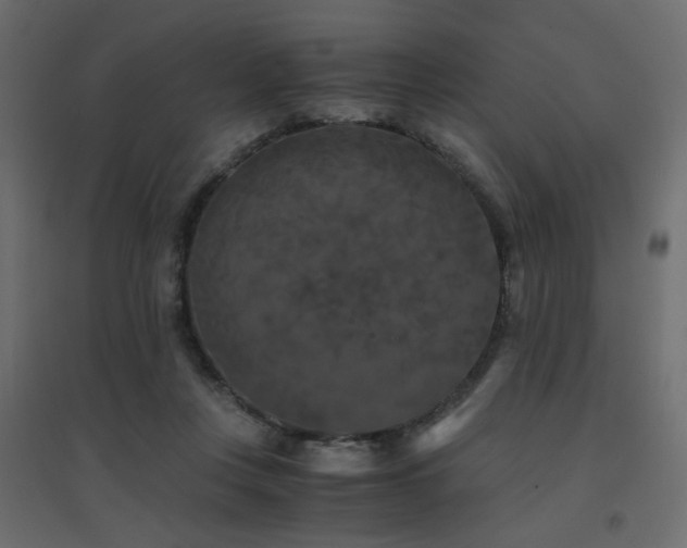 X0000094910359200711291301