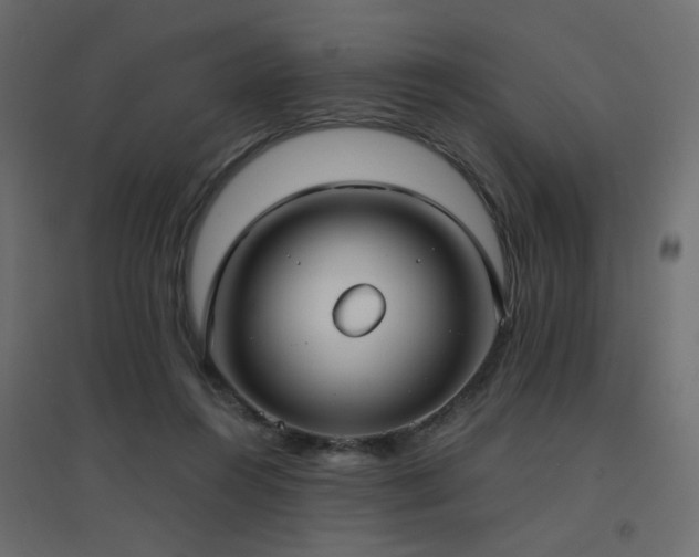 X0000094910360200711291301