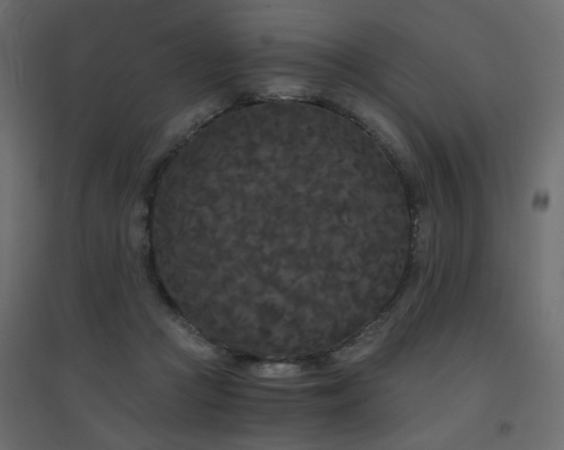 X0000094910361200711291301