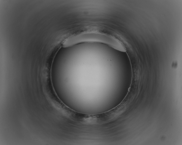 X0000094910362200711291301