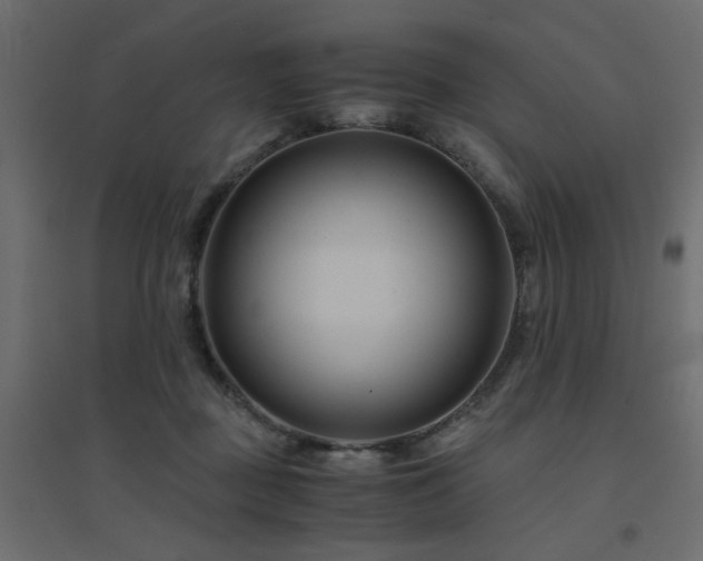 X0000094910363200711291301