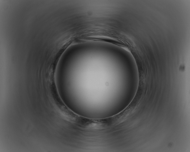 X0000094910364200711291301