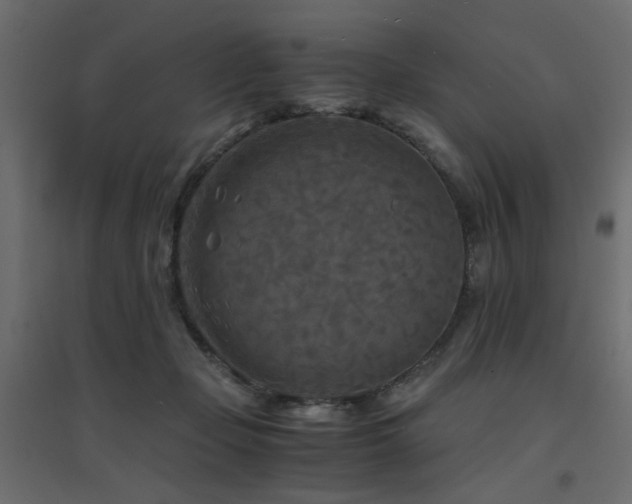 X0000094910365200711291301