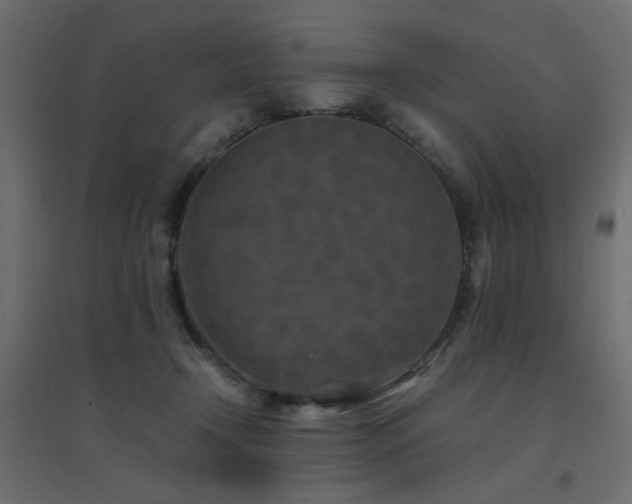 X0000094910366200711291301