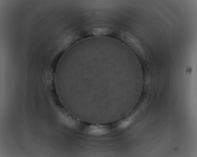 X0000094910367200711291301