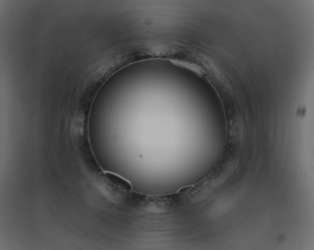 X0000094910368200711291301