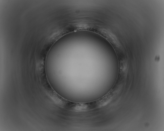 X0000094910369200711291301