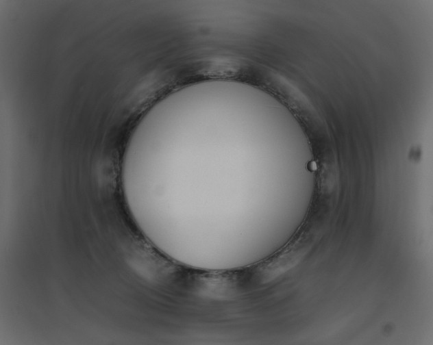 X0000094910370200711291301