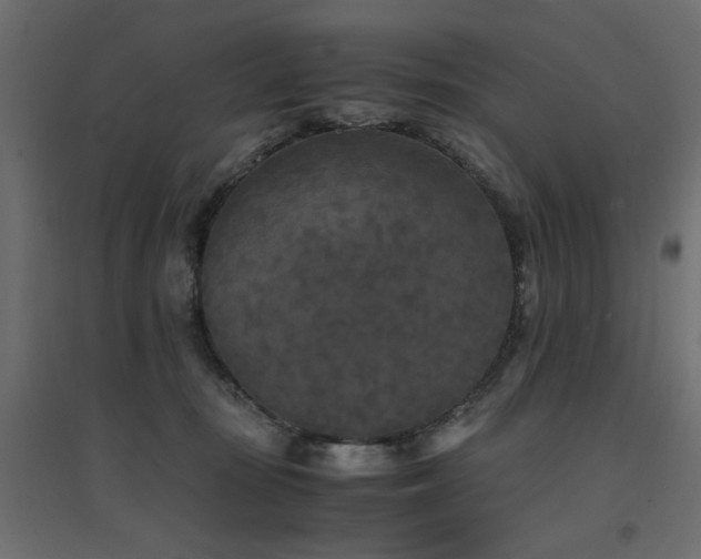 X0000094910371200711291301
