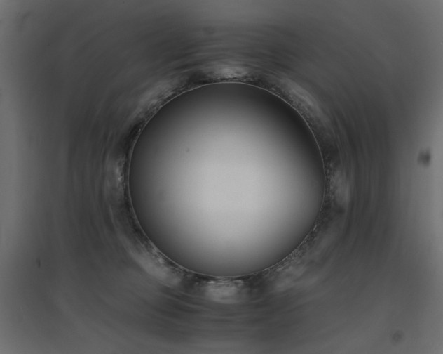 X0000094910373200711291301