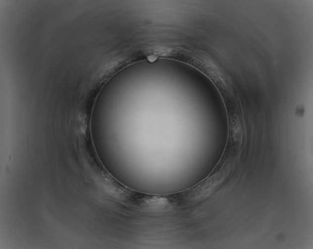 X0000094910374200711291301