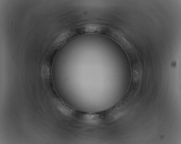 X0000094910375200711291301
