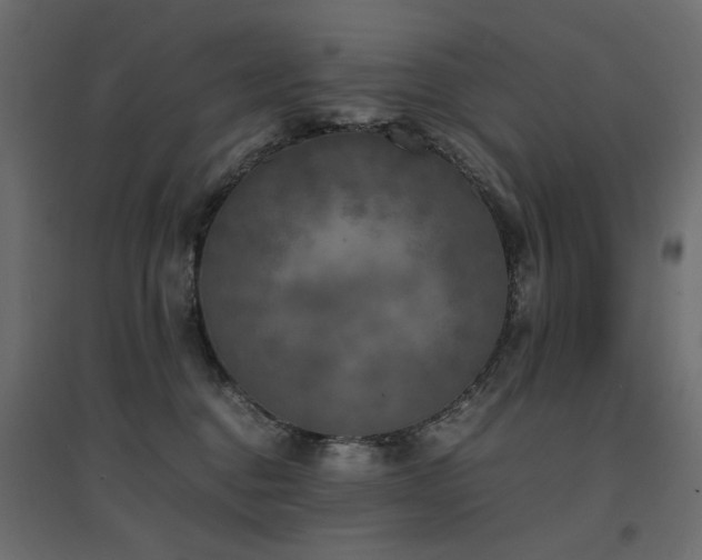 X0000094910376200711291301