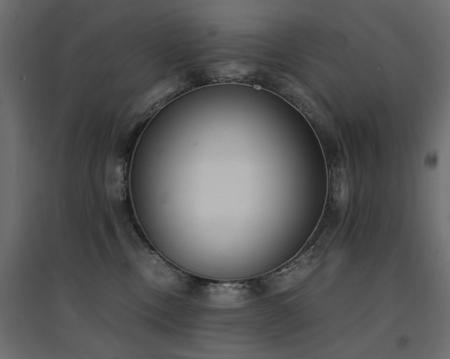 X0000094910378200711291301