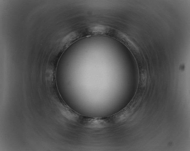 X0000094910379200711291301
