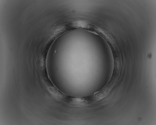X0000094910380200711291301