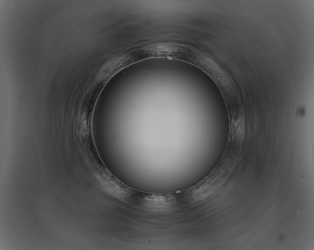 X0000094910381200711291301