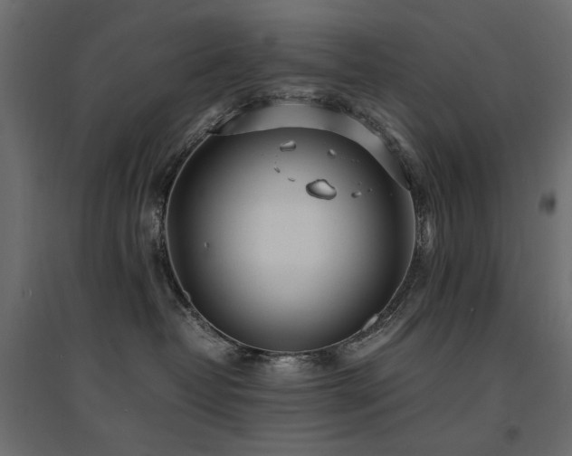X0000094910382200711291301