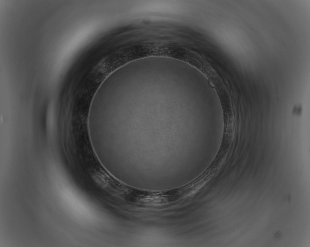 X0000094910383200711291301