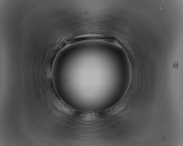 X0000094910384200711291301