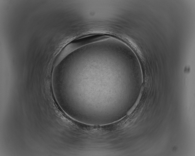 X0000094910385200711291301