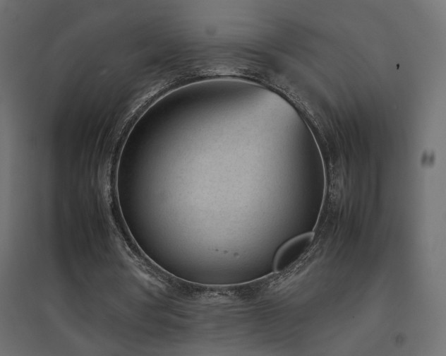 X0000094910386200711291301