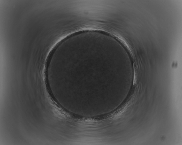 X0000094910387200711291301