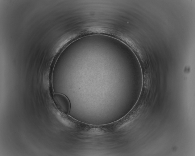 X0000094910390200711291300