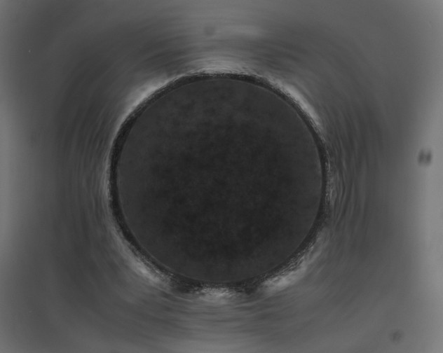 X0000094910391200711291300