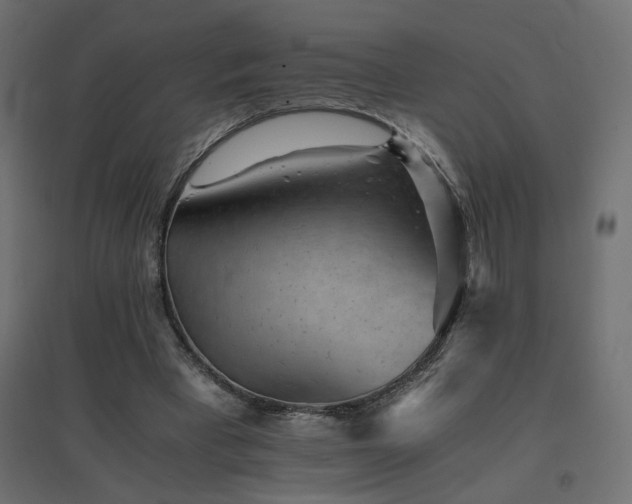 X0000094910393200711291300