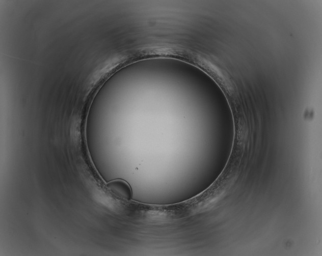 X0000094910394200711291300