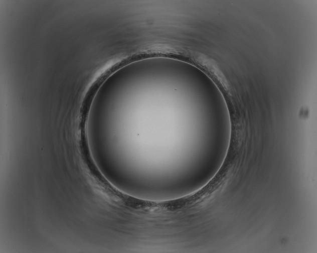 X0000094910395200711291300