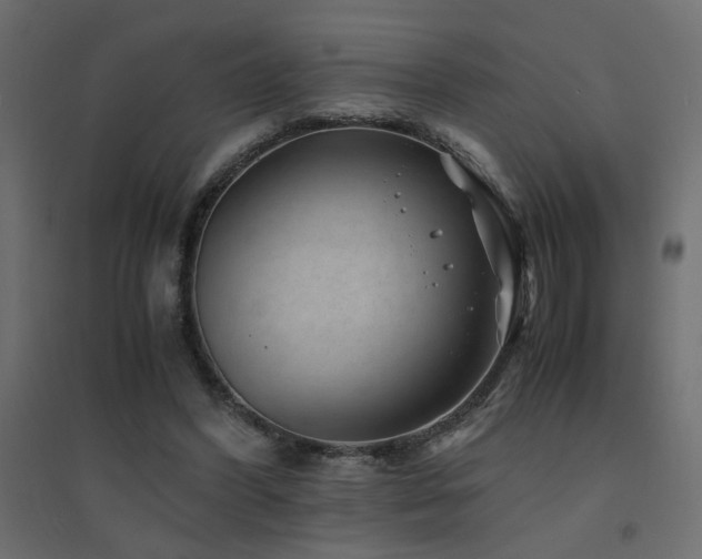 X0000094910396200711291300
