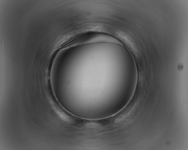 X0000094910397200711291300