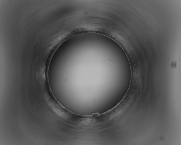 X0000094910398200711291300