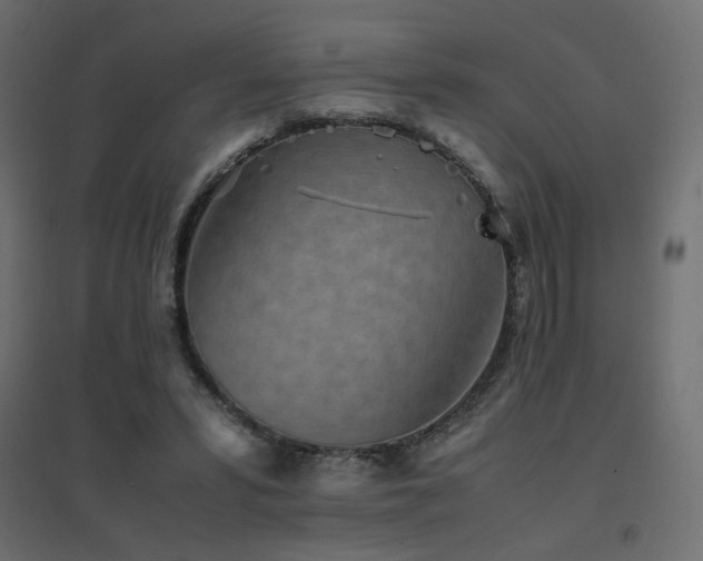 X0000094910399200711291300