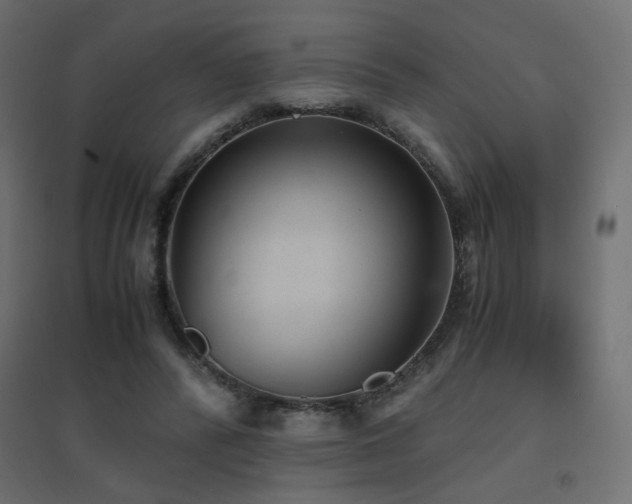 X0000094910400200711291300