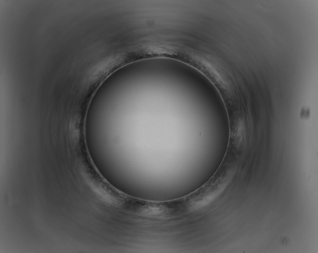 X0000094910402200711291300
