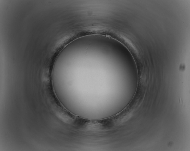 X0000094910403200711291300