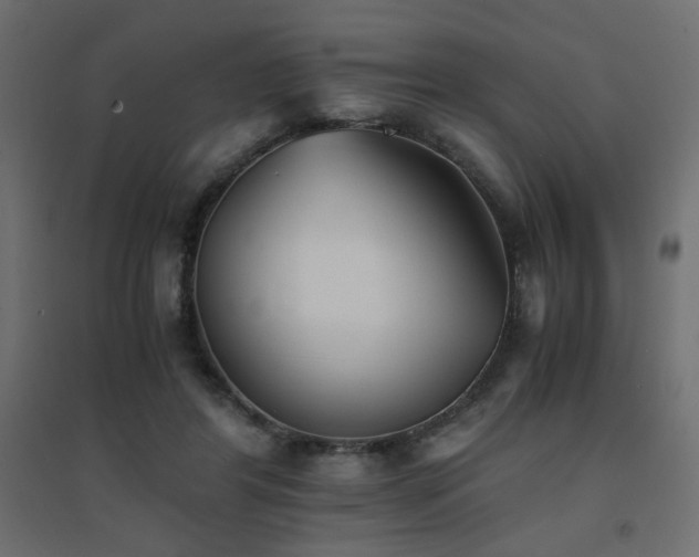 X0000094910404200711291300