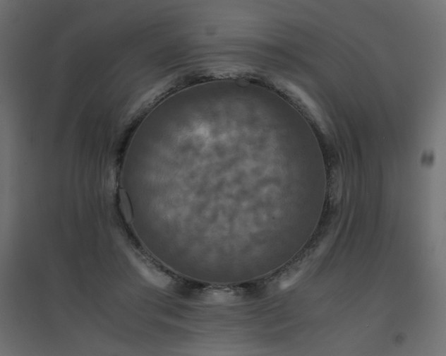 X0000094910405200711291300