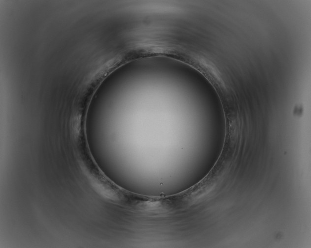 X0000094910406200711291300