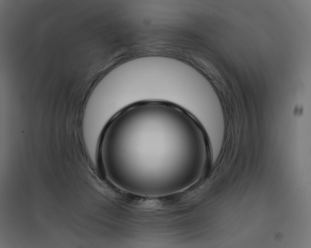 X0000094910409200711291300