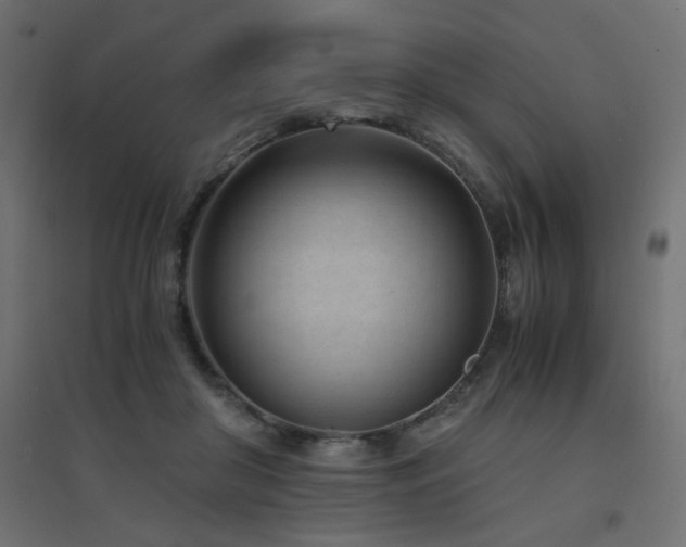 X0000094910410200711291300