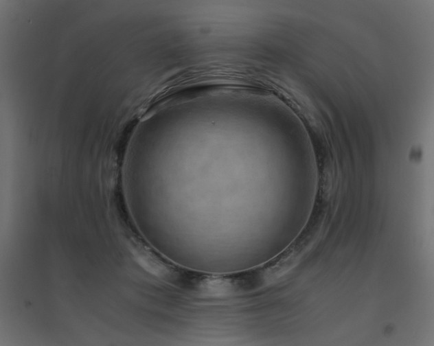 X0000094910413200711291300