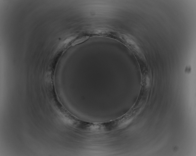 X0000094910415200711291300