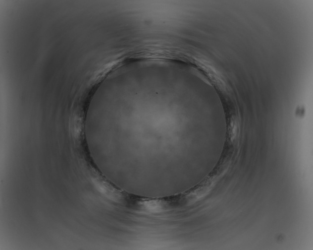 X0000094910417200711291300