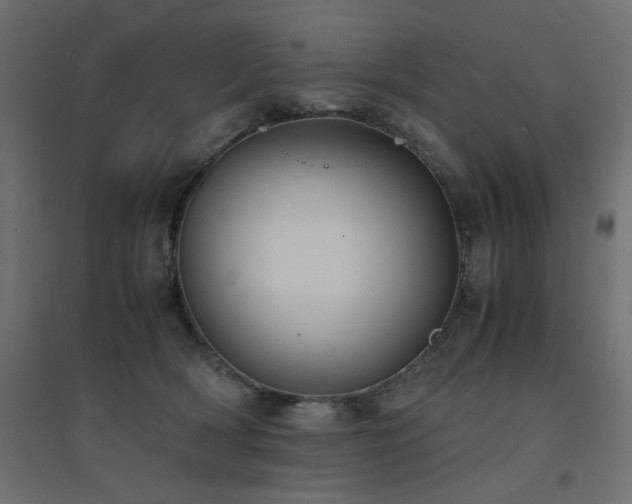 X0000094910418200711291300