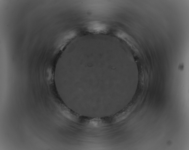 X0000094910420200711291300